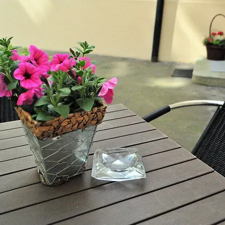Apartment Secret Garden *